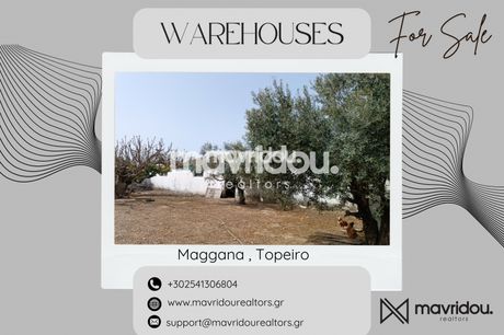 Warehouse 145 sqm for sale