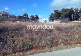 Αγροτεμάχια 4.043,05 τ.μ. προς πώληση, Χρύσα Ξάνθης-thumb-2