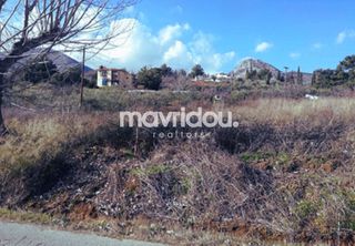 Αγροτεμάχια 4.043,05 τ.μ. προς πώληση, Χρύσα Ξάνθης-thumb-1