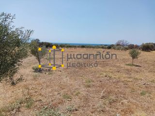 Αγροτεμάχια 2.000 τ.μ. προς πώληση, Δίκελλα-thumb-8