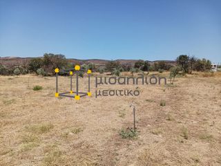 Αγροτεμάχια 2.000 τ.μ. προς πώληση, Δίκελλα-thumb-21