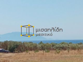 Αγροτεμάχια 2.000 τ.μ. προς πώληση, Δίκελλα-thumb-13