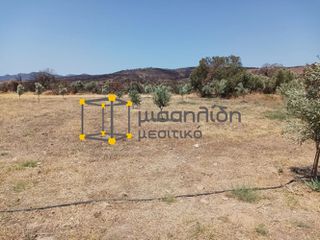 Αγροτεμάχια 2.000 τ.μ. προς πώληση, Δίκελλα-thumb-4