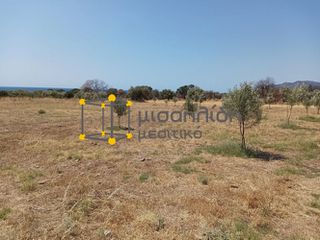 Αγροτεμάχια 2.000 τ.μ. προς πώληση, Δίκελλα-thumb-9