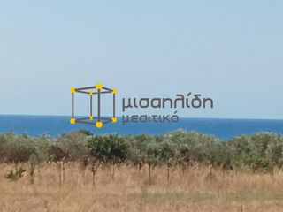 Αγροτεμάχια 2.000 τ.μ. προς πώληση, Δίκελλα-thumb-6