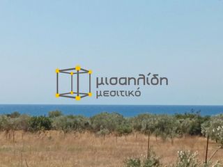 Αγροτεμάχια 2.000 τ.μ. προς πώληση, Δίκελλα-thumb-18