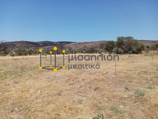 Αγροτεμάχια 2.000 τ.μ. προς πώληση, Δίκελλα-thumb-19