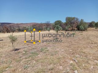 Αγροτεμάχια 2.000 τ.μ. προς πώληση, Δίκελλα-thumb-16