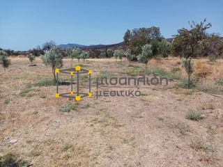 Αγροτεμάχια 2.000 τ.μ. προς πώληση, Δίκελλα-thumb-5