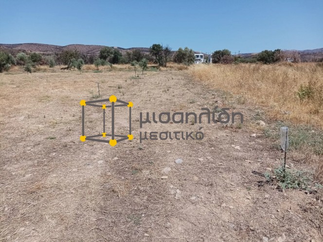 Αγροτεμάχια 2.000 τ.μ. πρός πώληση, Εβρος, Αλεξανδρούπολη
