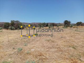 Αγροτεμάχια 2.000 τ.μ. προς πώληση, Δίκελλα-thumb-17