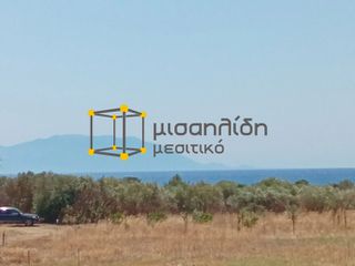 Αγροτεμάχια 2.000 τ.μ. προς πώληση, Δίκελλα-thumb-22