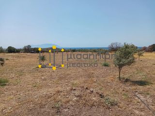 Αγροτεμάχια 2.000 τ.μ. προς πώληση, Δίκελλα-thumb-10