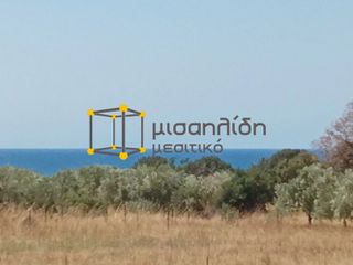 Αγροτεμάχια 2.000 τ.μ. προς πώληση, Δίκελλα-thumb-7