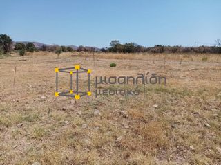 Αγροτεμάχια 2.000 τ.μ. προς πώληση, Δίκελλα-thumb-15