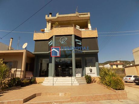 Βιοτεχνικός χώρος 390 τ.μ. για ενοικίαση