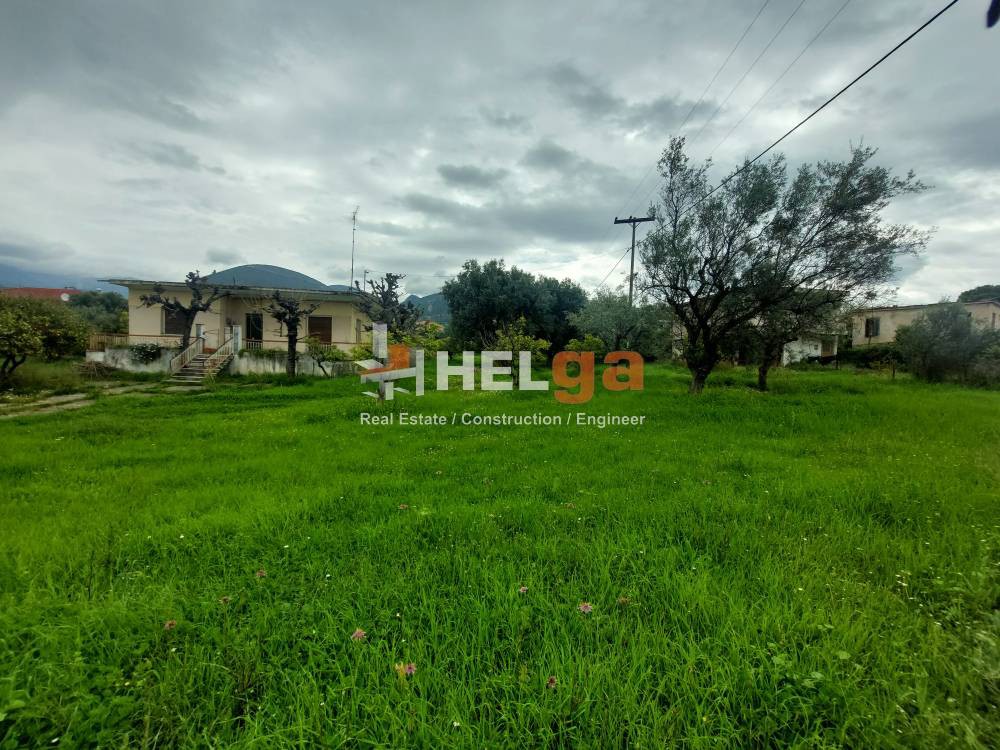 Οικόπεδο 6.500 τ.μ. προς πώληση, Οβριά