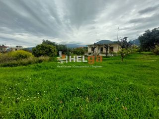 Οικόπεδο 6.500 τ.μ. προς πώληση, Οβριά-thumb-2