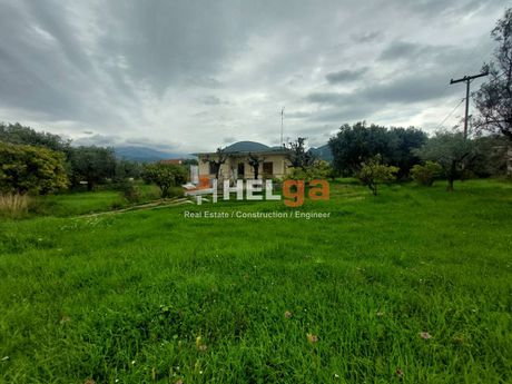 Οικόπεδο 6.500 τ.μ. για πώληση