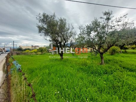 Οικόπεδο 2.500 τ.μ. για πώληση