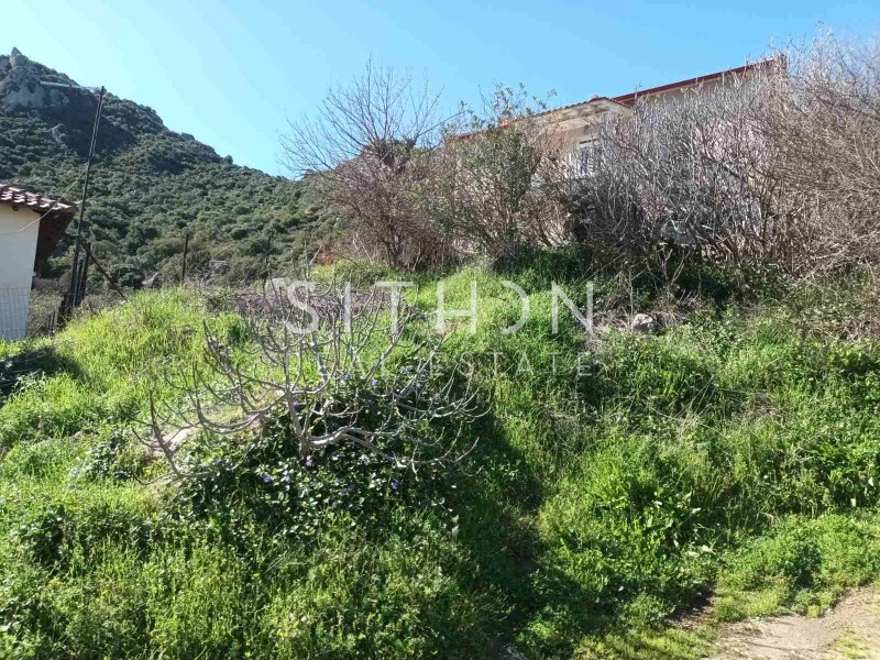Οικόπεδο 146 τ.μ. προς πώληση, Συκιά Τορώνης