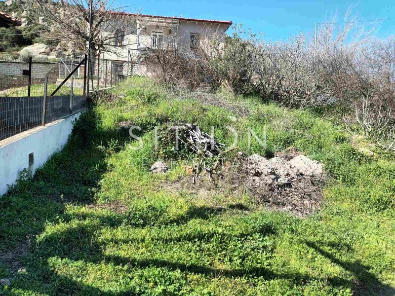 Οικόπεδο 146 τ.μ. προς πώληση, Συκιά Τορώνης