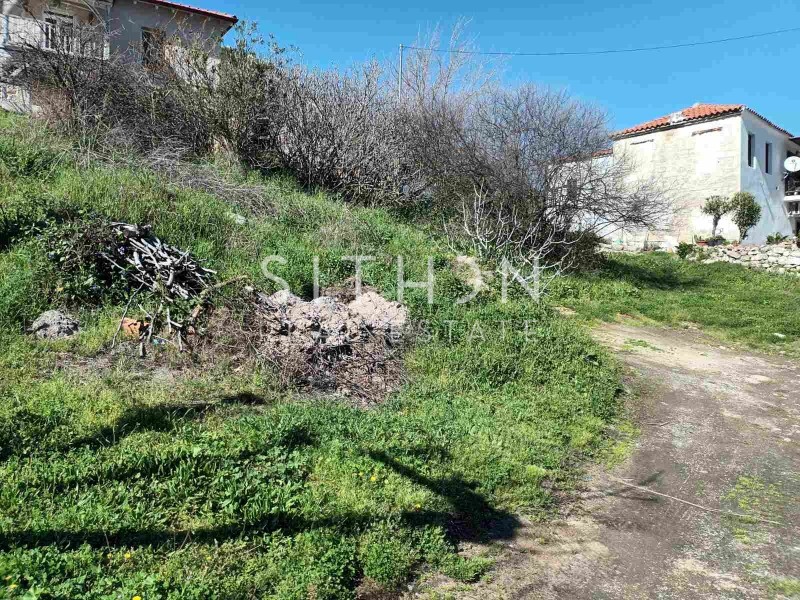 Οικόπεδο 146 τ.μ. προς πώληση, Συκιά Τορώνης