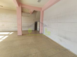 Κατάστημα 98 τ.μ. για ενοικίαση, Αχαΐα, Μεσσατίδα-thumb-10