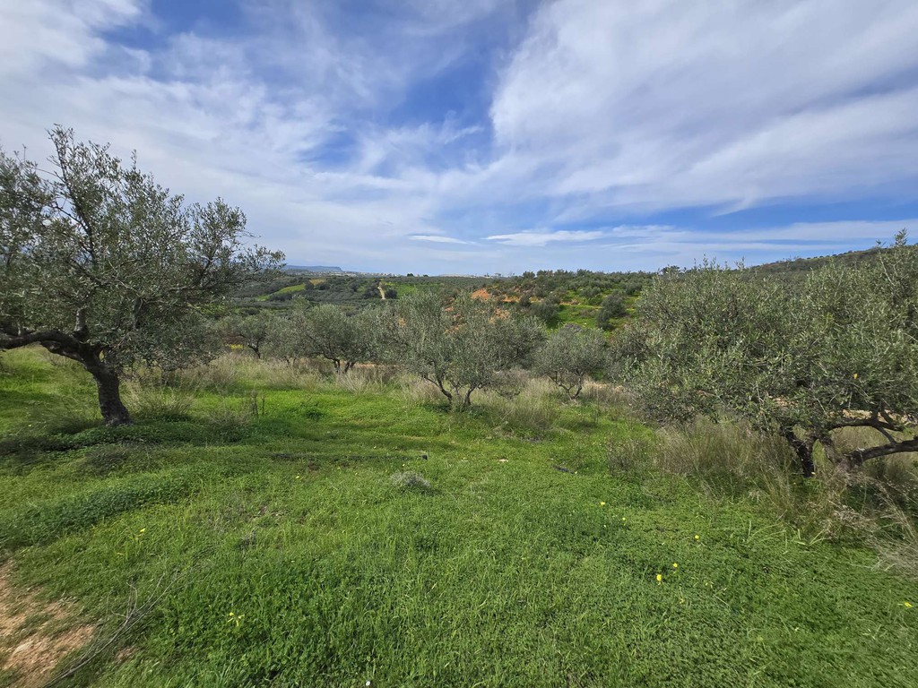 Οικόπεδο 11.396 τ.μ. πρός πώληση, Ν. Ρεθύμνου, Γεροπόταμος