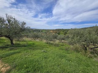 Οικόπεδο 11.396 τ.μ. για πώληση