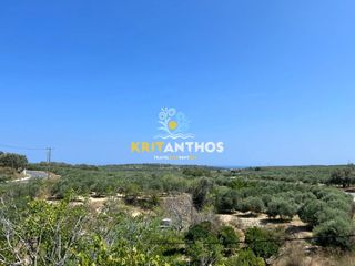 Κτίριο 336 τ.μ. για πώληση, Ν. Ρεθύμνου, Αρκάδι-thumb-13