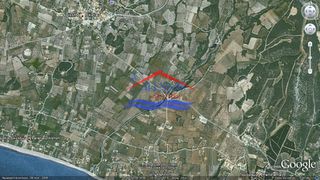 Αγροτεμάχια 2.100 τ.μ. για πώληση