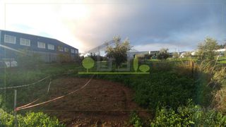 Οικόπεδο 3.000 τ.μ. πρός πώληση, Αχαΐα, Ωλένια-thumb-7