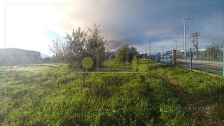 Οικόπεδο 3.000 τ.μ. πρός πώληση, Αχαΐα, Ωλένια-thumb-4