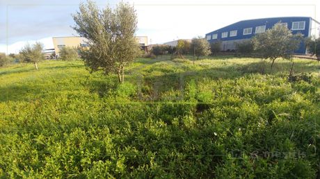 Οικόπεδο 3.000τ.μ. για πώληση-Ωλένια » Άγιος στέφανος