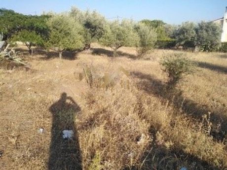 Land plot 1.000sqm for sale-Eretria » Malakonta
