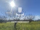 Land plot 624,49sqm for sale-Palaia Fokaia » Κέντρο
