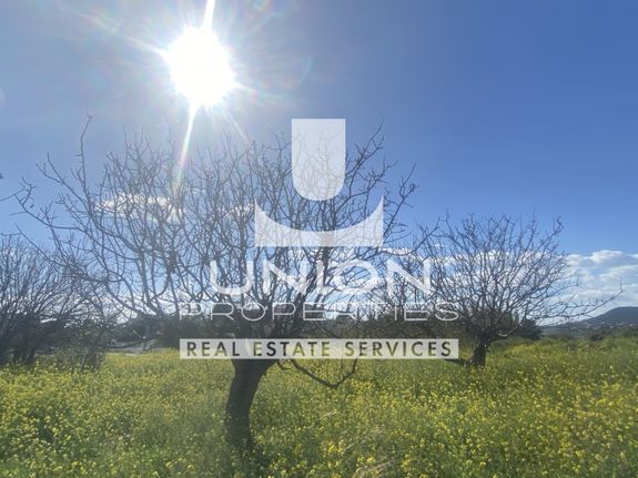 Land plot 624,49 sqm for sale, Rest Of Attica, Palaia Fokaia