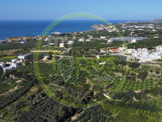 Οικόπεδο 42.000 τ.μ. για πώληση, Ν. Ρεθύμνου, Αρκάδι-thumb-1