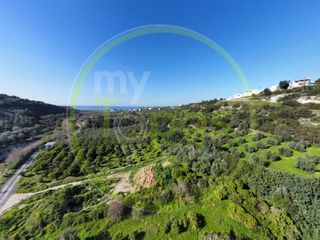 Οικόπεδο 42.000 τ.μ. για πώληση, Ν. Ρεθύμνου, Αρκάδι-thumb-4