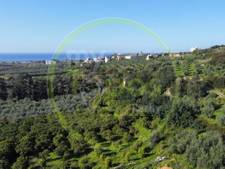 Οικόπεδο 42.000 τ.μ. για πώληση, Ν. Ρεθύμνου, Αρκάδι-thumb-5