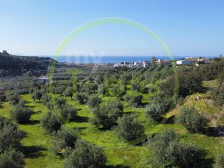 Οικόπεδο 42.000 τ.μ. για πώληση, Ν. Ρεθύμνου, Αρκάδι-thumb-6