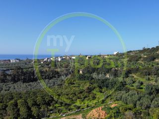 Οικόπεδο 42.000 τ.μ. για πώληση, Ν. Ρεθύμνου, Αρκάδι-thumb-7