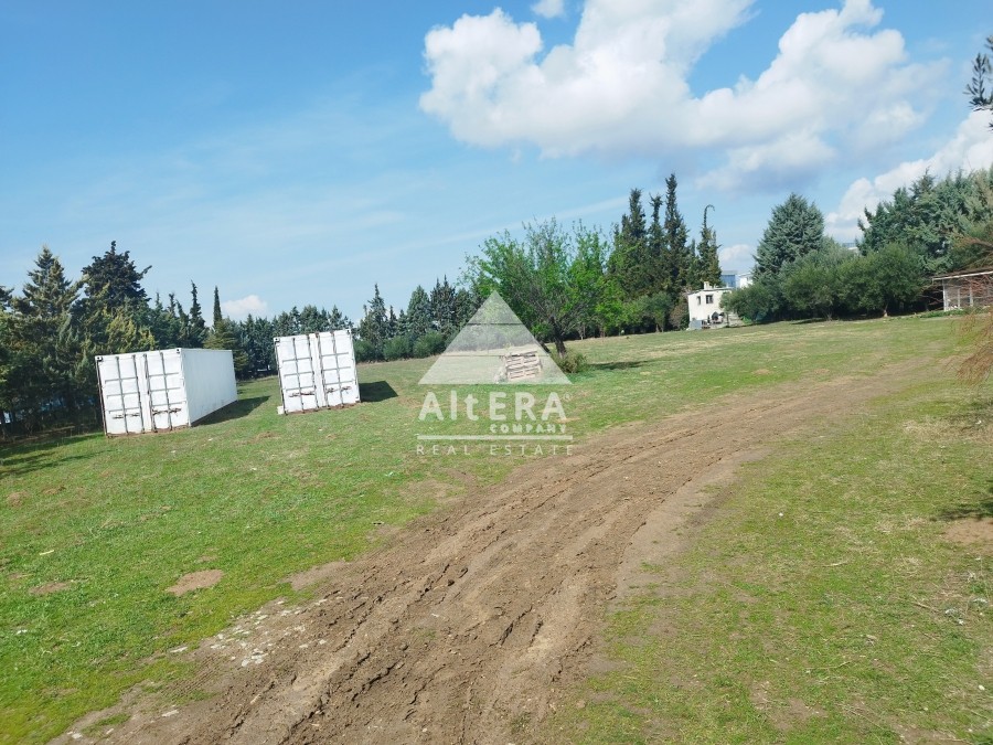 Αγροτεμάχια 7.765 τ.μ. προς πώληση, Φοίνικας Πυλαίας
