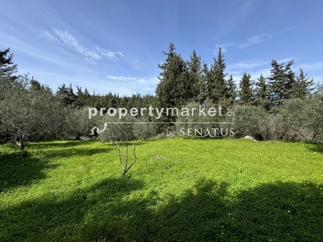 Αγροτεμάχια 4.133τ.μ. για πώληση-Φρέ » Άγιοι πάντες
