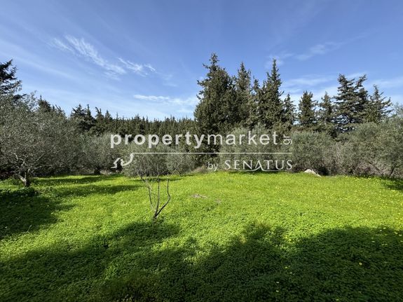 Αγροτεμάχια 4.133 τ.μ. για πώληση, Ν. Χανίων, Φρέ