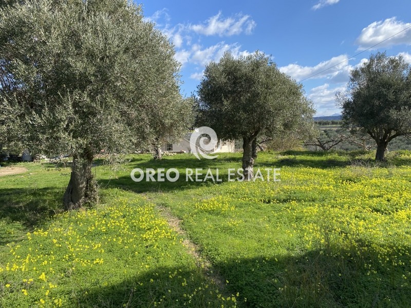 Οικόπεδο 1.386 τ.μ. για πώληση, Ν. Ρεθύμνου, Αρκάδι