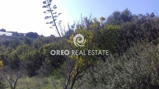 Οικόπεδο 1.567 τ.μ. για πώληση, Ν. Ρεθύμνου, Αρκάδι-thumb-5
