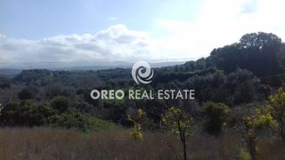 Οικόπεδο 1.567 τ.μ. για πώληση, Ν. Ρεθύμνου, Αρκάδι-thumb-9