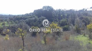 Οικόπεδο 1.567 τ.μ. για πώληση, Ν. Ρεθύμνου, Αρκάδι-thumb-7